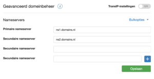 domeinnamen parkeren: domains nameservers